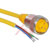 TURCK - RKM 30-5M - 5 Meter 18 AWG 3-wire Female Straight PVC Minifast Cordset|70035999 | ChuangWei Electronics