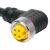 TURCK - WKM 44-6M/S4000 - U-46352 Black PVC 6 Meter 4 Wire Female Straight 7/8-16UN Cordset|70230833 | ChuangWei Electronics