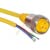 TURCK - RKM 30-2M - 2 Meter 18 AWG 3-wire Female Straight PVC Minifast Cordset|70035998 | ChuangWei Electronics